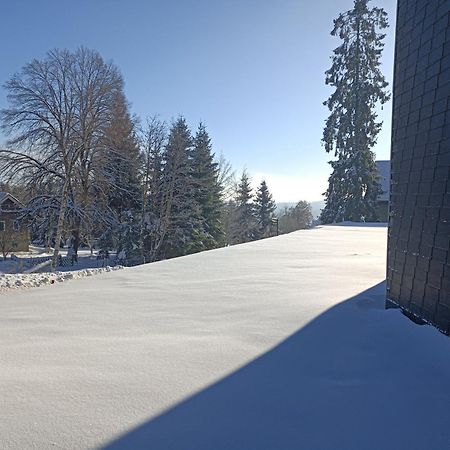 Appartement In Het Sportgebied Van Winterberg Buitenkant foto